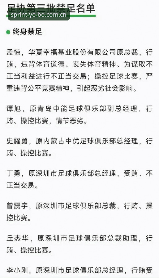 中国足协第三批禁足名单深度解析：yobo体育平台用户必看的行业整顿指南